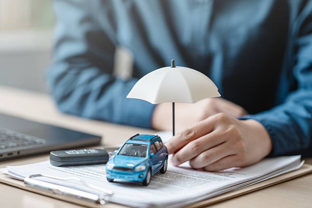 Reliable Sr22 Insurance contractor in Cheval, FL by Auto Insurance Axis